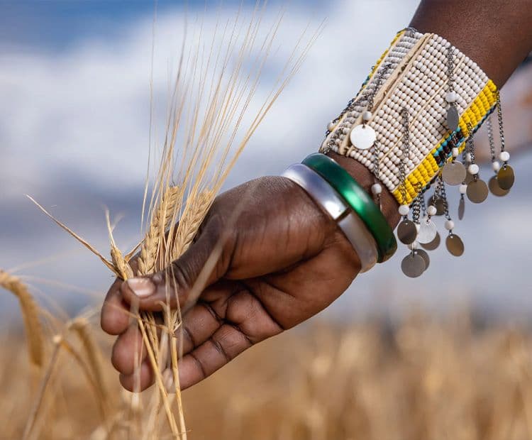 AB InBev - Why Choose Us