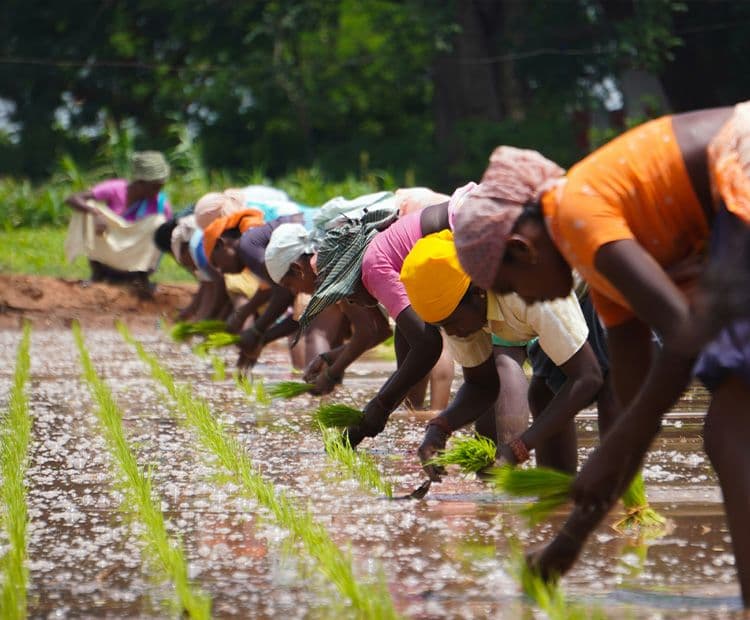 Inclusive Growth