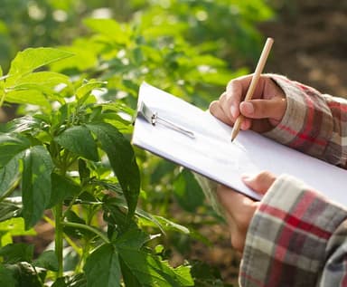 Carbon-Smart & Low-Carbon Agriculture